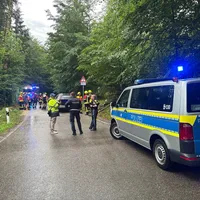 260530_Baum auf Autos (7).jpeg