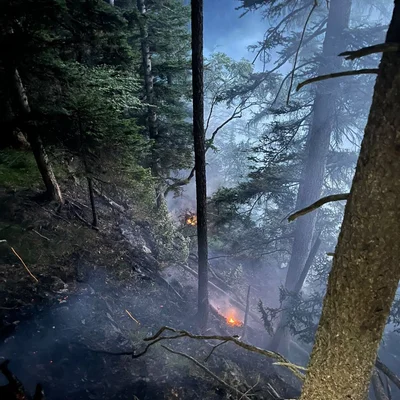 csm_Brand_Kranzbergkogel_png_5fc70341f7.png