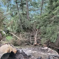 230802_waldbrand_karschneid_11.jpg